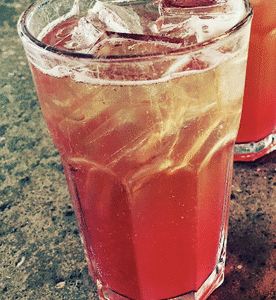 Kombucha